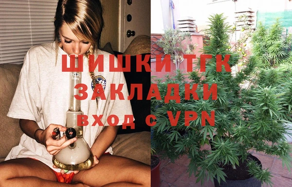 тгк Мегион