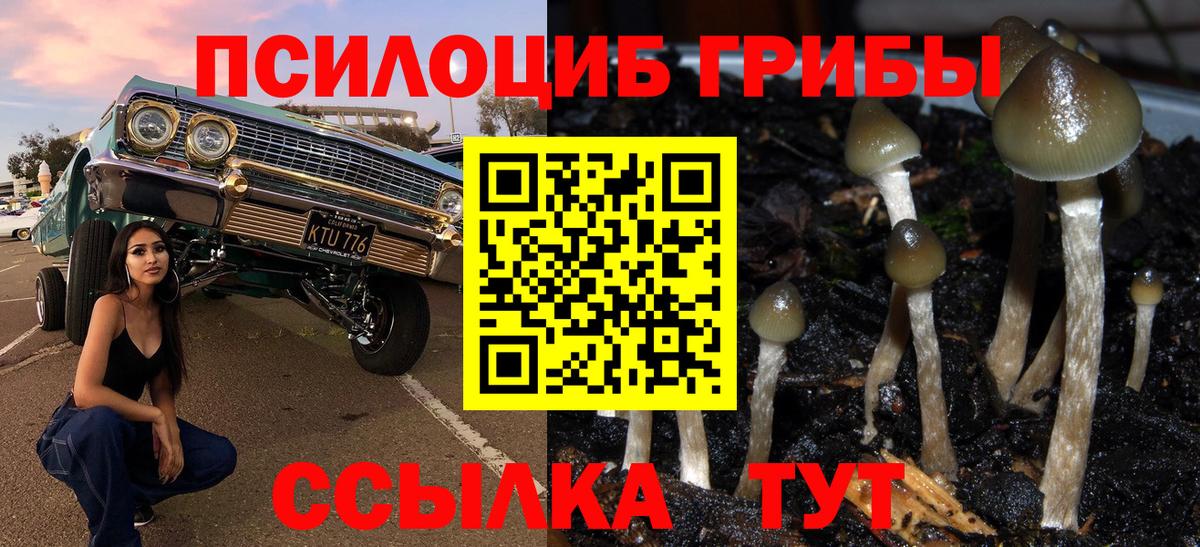 Псилоцибиновые грибы Magic Shrooms  Вход с VPN  Азнакаево  Галлюциногенные грибы GOLDEN TEACHER 