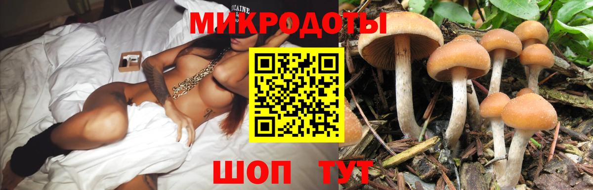 Псилоцибиновые грибы Cubensis Азнакаево