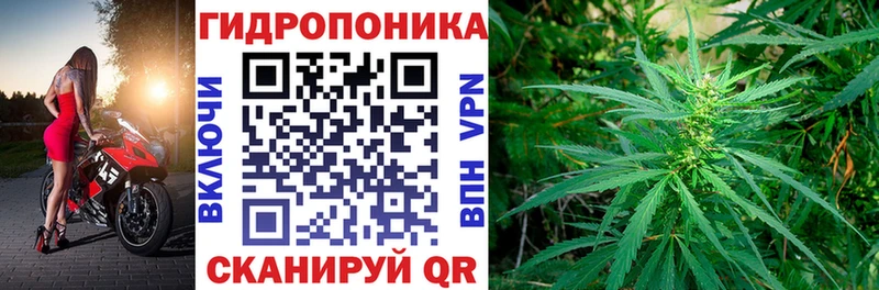 Бошки марихуана AK-47  hydra как зайти  Азнакаево 
